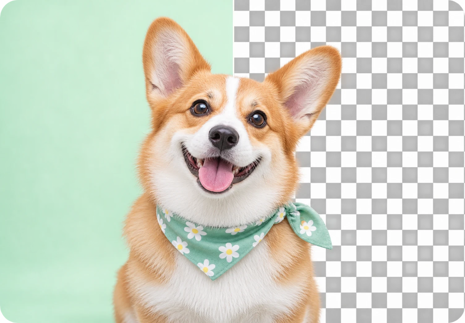 Background removed automatically